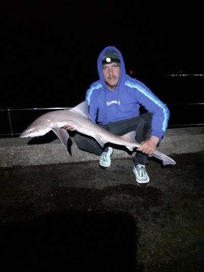 [10 lb smoothhound]